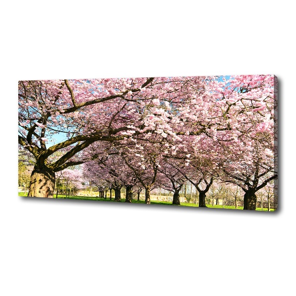 Quadro su tela Alberi di ciliegio