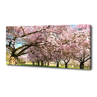 Quadro su tela Alberi di ciliegio