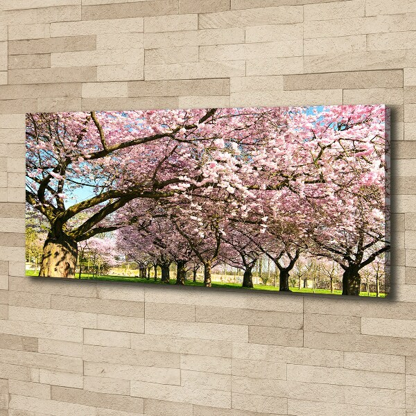 Quadro su tela Alberi di ciliegio