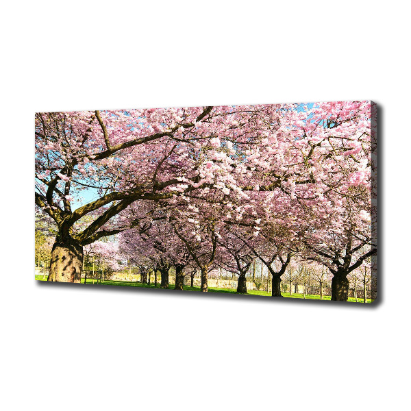 Quadro su tela Alberi di ciliegio