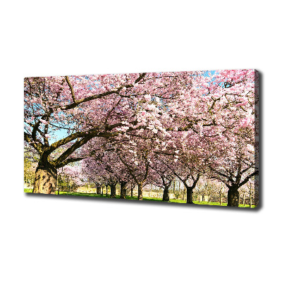 Quadro su tela Alberi di ciliegio