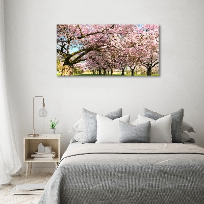 Quadro su tela Alberi di ciliegio