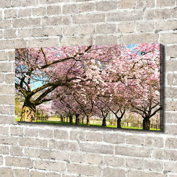 Quadro su tela Alberi di ciliegio