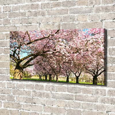 Quadro su tela Alberi di ciliegio