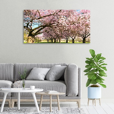 Quadro su tela Alberi di ciliegio