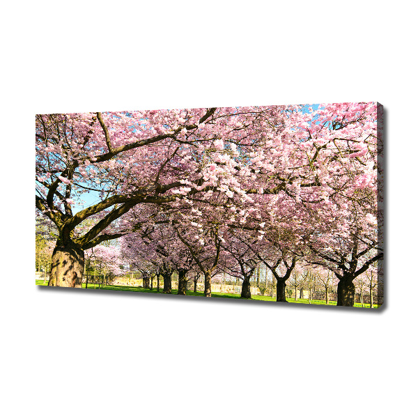 Quadro su tela Alberi di ciliegio