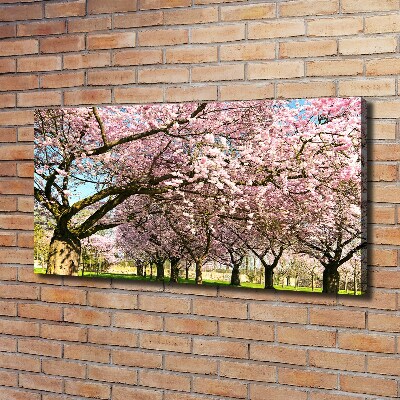 Quadro su tela Alberi di ciliegio