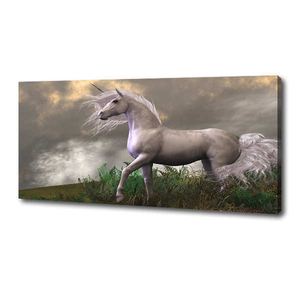 Quadro su tela Unicorno grigio