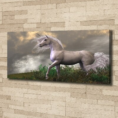 Quadro su tela Unicorno grigio
