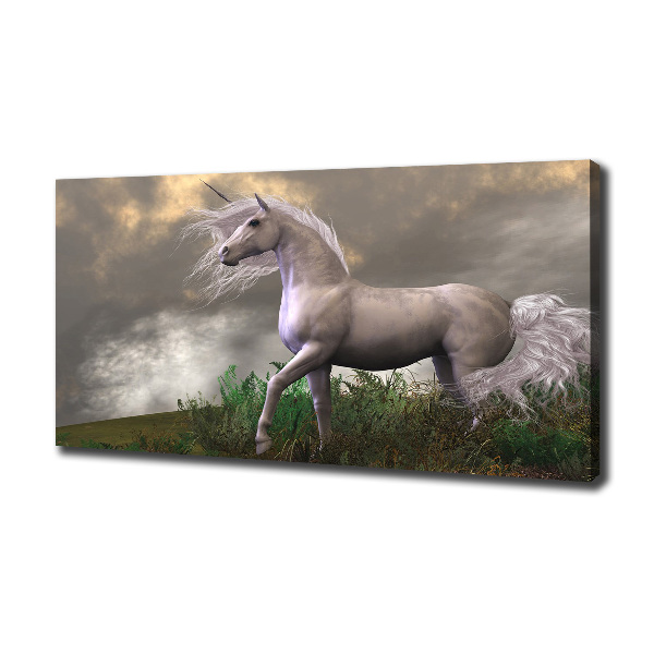 Quadro su tela Unicorno grigio