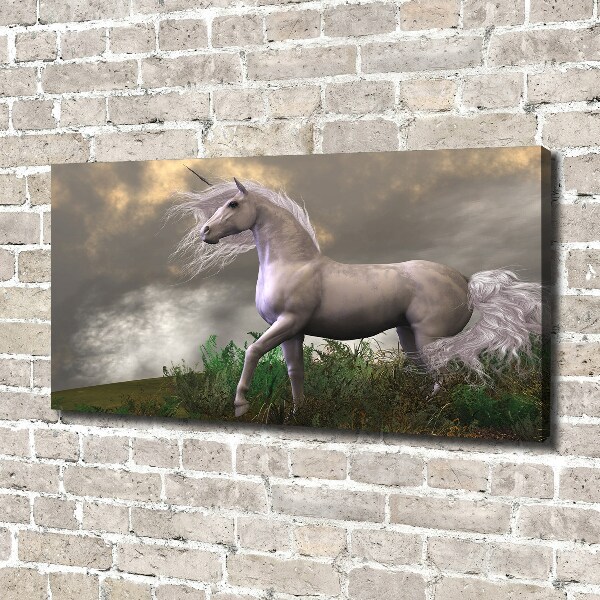 Quadro su tela Unicorno grigio