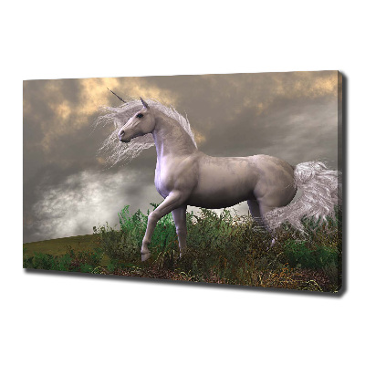 Quadro su tela Unicorno grigio