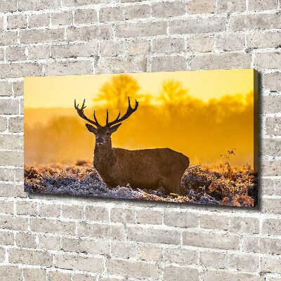Foto quadro su tela Alba di cervo