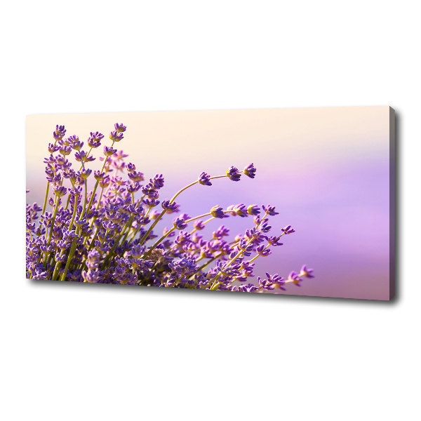 Foto quadro su tela Lavanda
