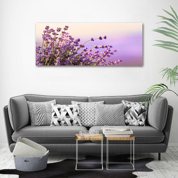 Foto quadro su tela Lavanda