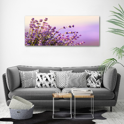 Foto quadro su tela Lavanda