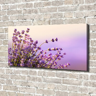 Foto quadro su tela Lavanda