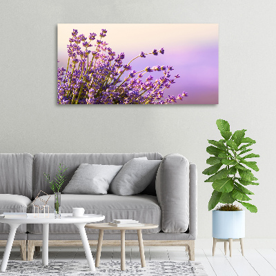 Foto quadro su tela Lavanda