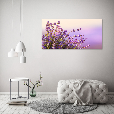 Foto quadro su tela Lavanda
