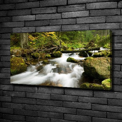 Quadro su tela Torrente Olczyski