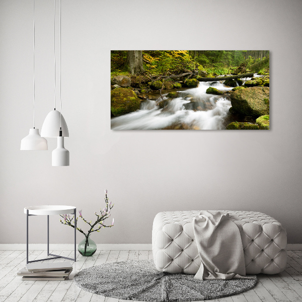 Quadro su tela Torrente Olczyski
