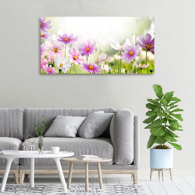 Quadro stampa su tela Fiori nel prato