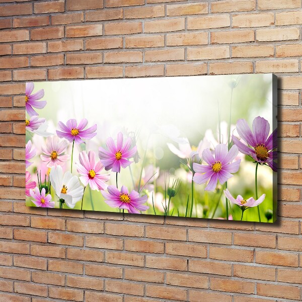 Quadro stampa su tela Fiori nel prato