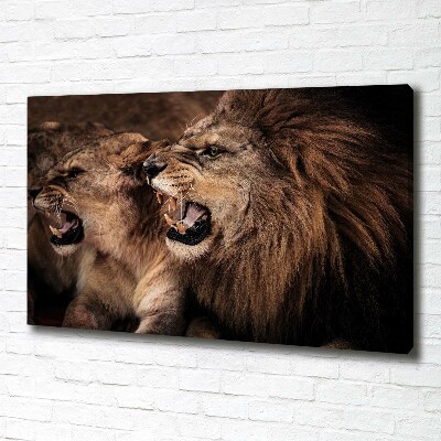 Foto quadro su tela Leoni ruggenti