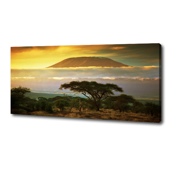 Foto quadro su tela Kilimanjaro Kenya