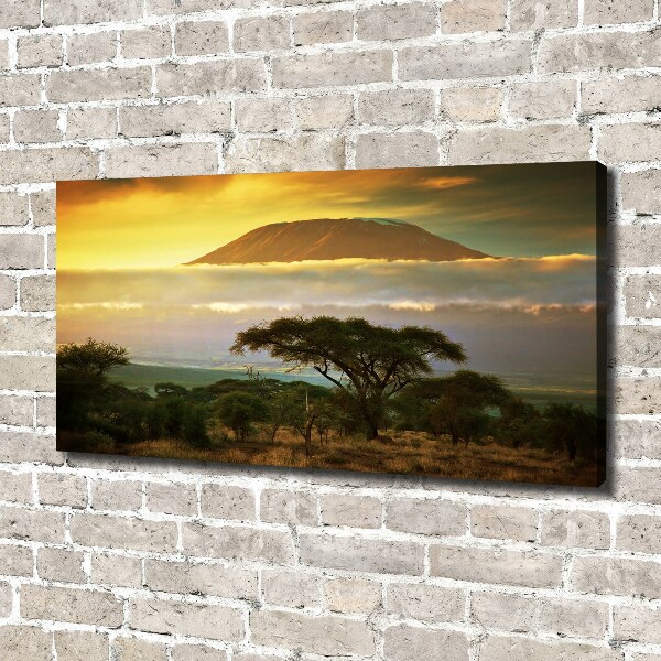 Foto quadro su tela Kilimanjaro Kenya