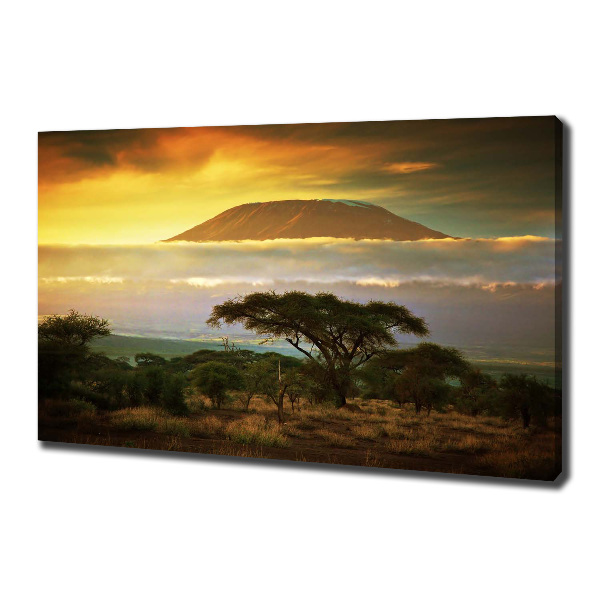 Foto quadro su tela Kilimanjaro Kenya