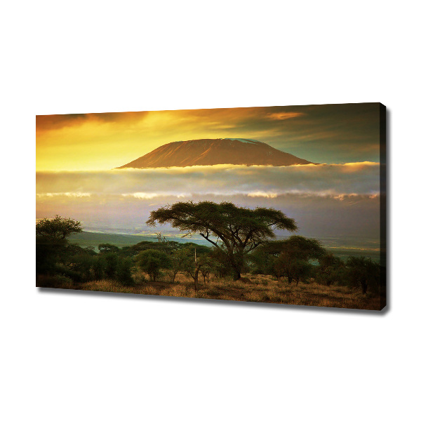 Foto quadro su tela Kilimanjaro Kenya