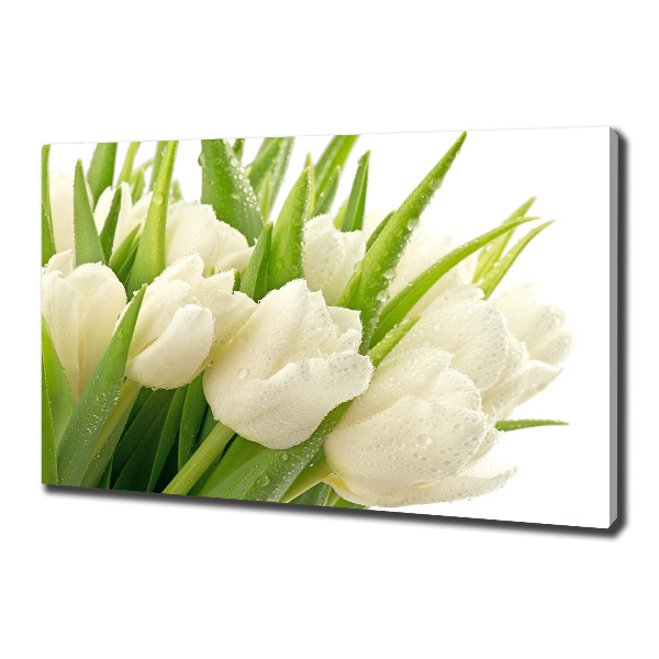 Foto quadro su tela Tulipani bianchi