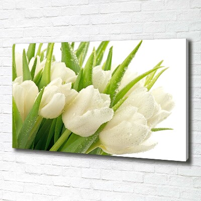 Foto quadro su tela Tulipani bianchi