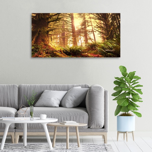 Quadro stampa su tela Foresta pluviale
