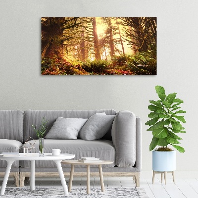 Quadro stampa su tela Foresta pluviale