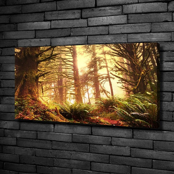 Quadro stampa su tela Foresta pluviale