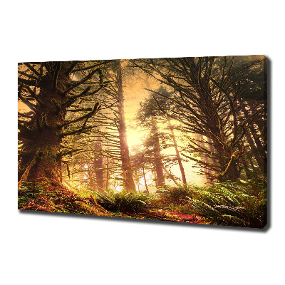 Quadro stampa su tela Foresta pluviale