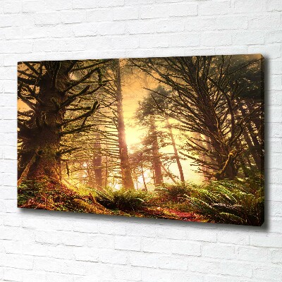 Quadro stampa su tela Foresta pluviale