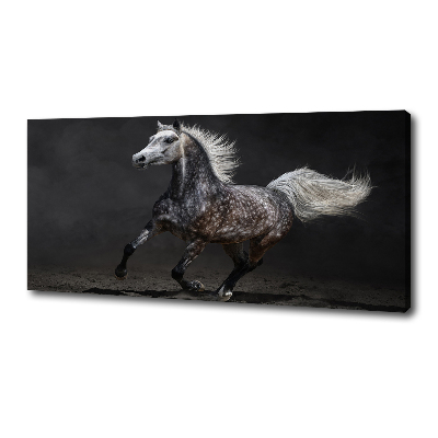 Quadro stampa su tela Cavallo arabo grigio