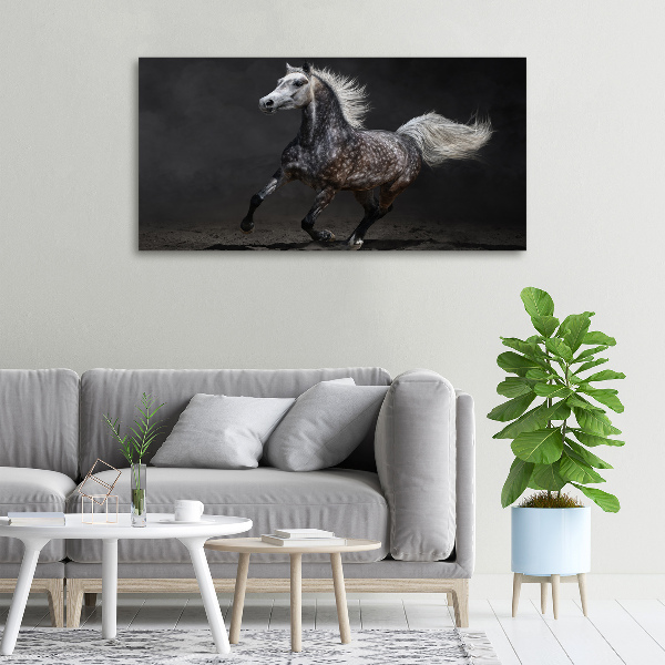 Quadro stampa su tela Cavallo arabo grigio