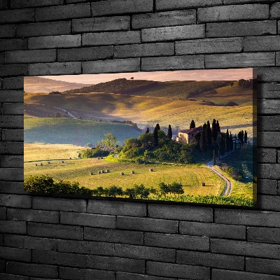 Quadro su tela Toscana, Italia