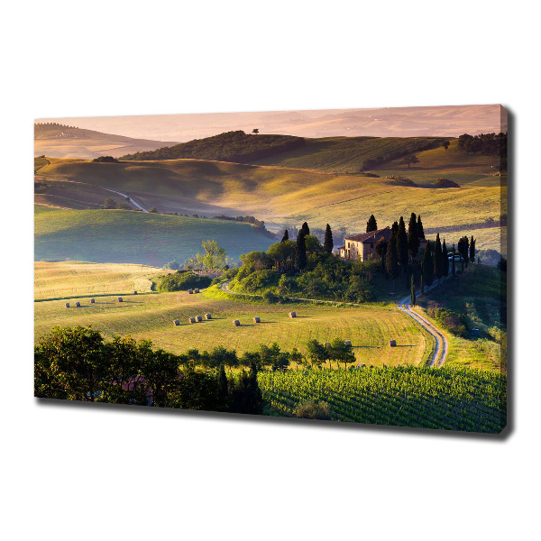 Quadro su tela Toscana, Italia