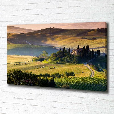 Quadro su tela Toscana, Italia