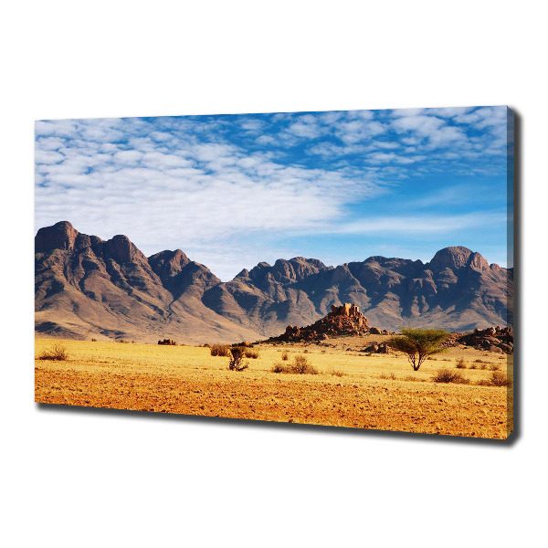 Foto quadro su tela Rocce in Namibia