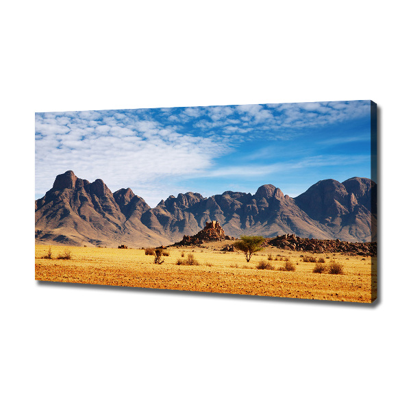 Foto quadro su tela Rocce in Namibia