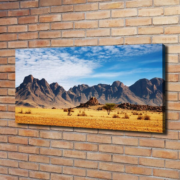 Foto quadro su tela Rocce in Namibia