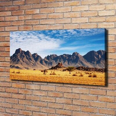 Foto quadro su tela Rocce in Namibia