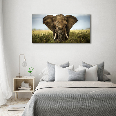 Foto quadro su tela Elefante nella savana