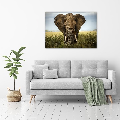 Foto quadro su tela Elefante nella savana